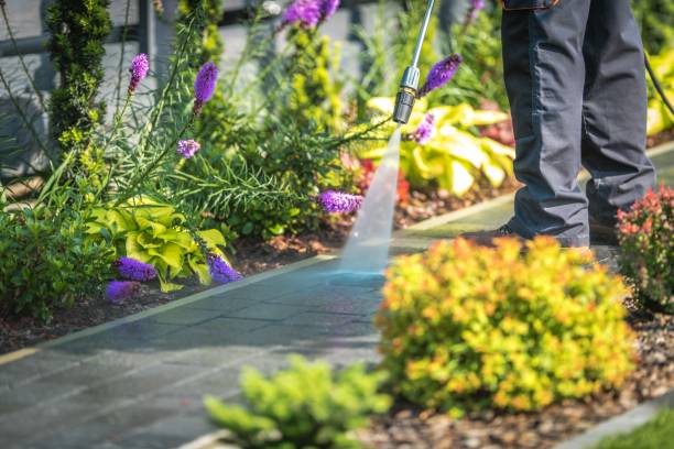Quartz Hill, CA Pressure Washing Company